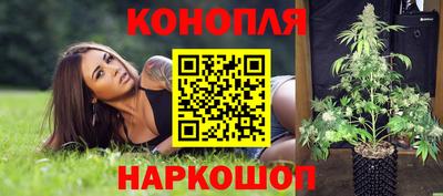 гашик Гусь-Хрустальный