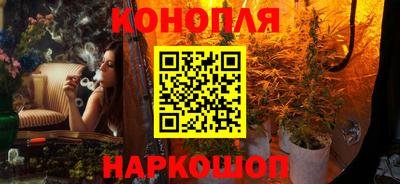 гашик Гусь-Хрустальный