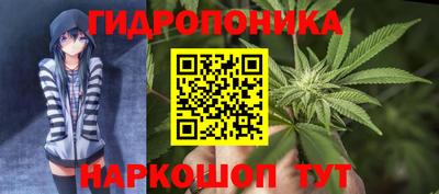 спиды Гусев