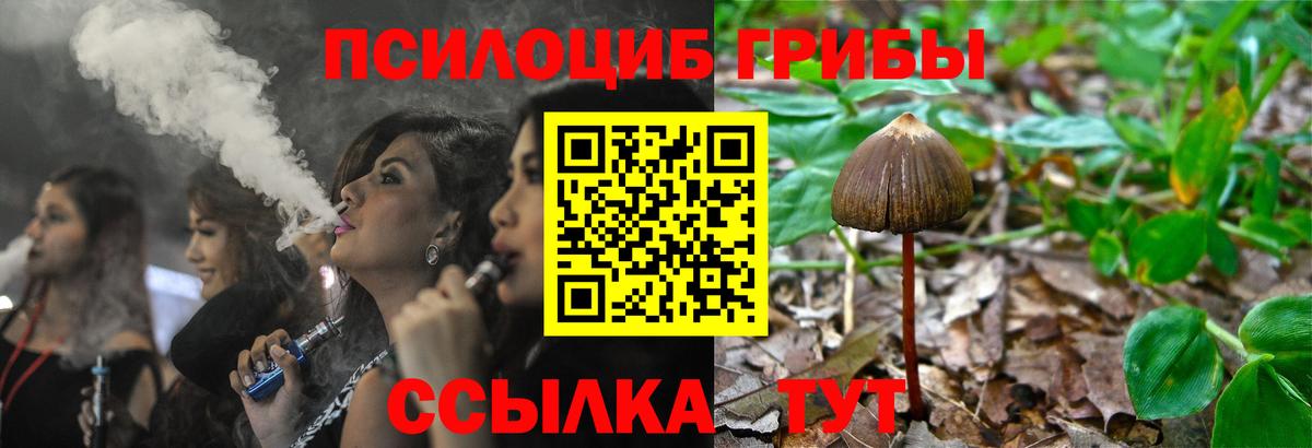 Галлюциногенные грибы GOLDEN TEACHER  Вход с VPN  Галлюциногенные грибы Psilocybe  Можайск 